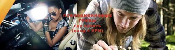 соль ск Дмитриев
