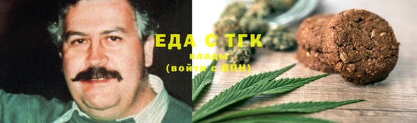 соль ск Дмитриев
