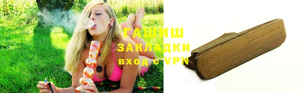 соль ск Дмитриев