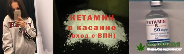 соль ск Дмитриев