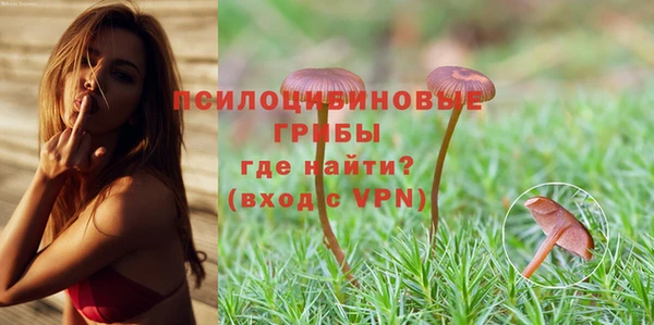 ALPHA PVP Дмитровск