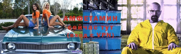 соль ск Дмитриев