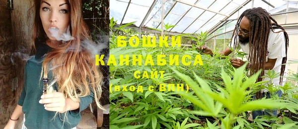 не бодяженный Дмитров